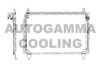 AUTOGAMMA 101701 Condenser, air conditioning